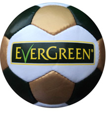 Portfolio voetballen bedrukken met logo